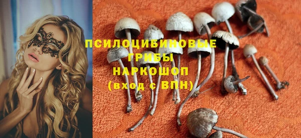MESCALINE Заводоуковск