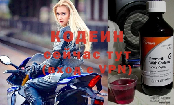 меф Ельня